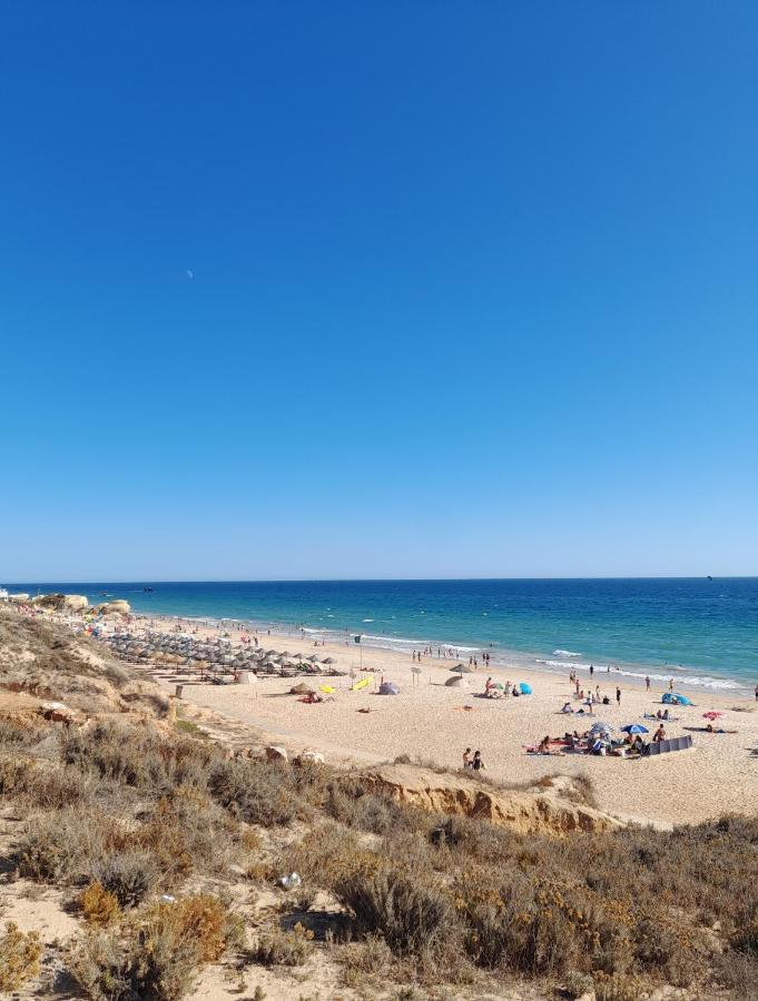 Estudio Puertorico T0 Em Albufeira Gale Ngoại thất bức ảnh