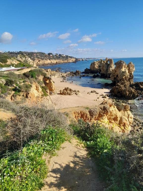 Estudio Puertorico T0 Em Albufeira Gale Ngoại thất bức ảnh